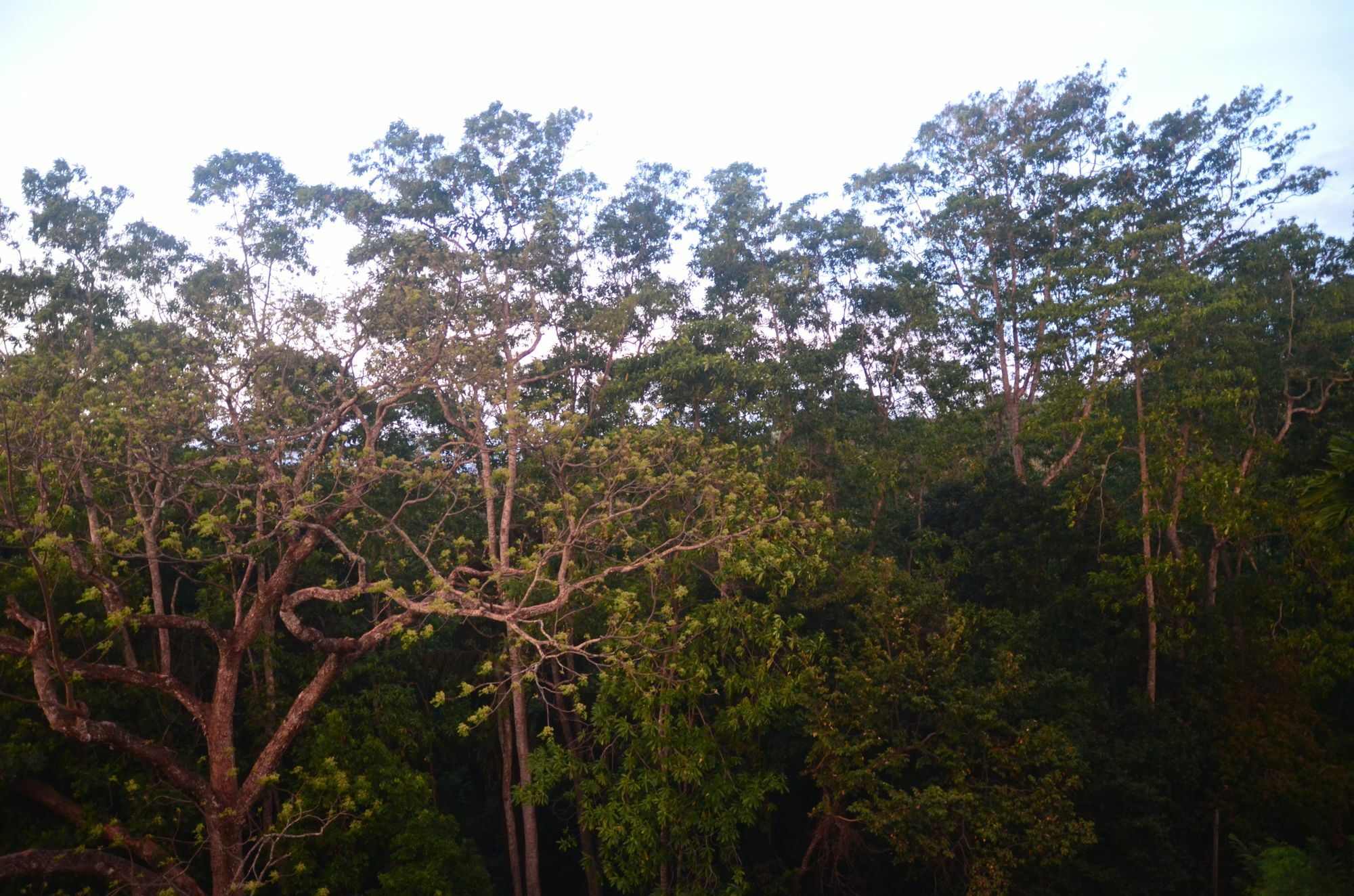 The Grand Hanthana Kandy Ngoại thất bức ảnh